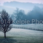 February Morning